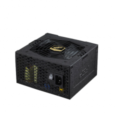 Fortron Aurum S 600